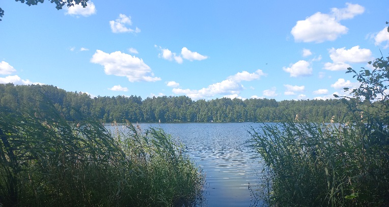 Жара забирает жизни